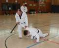 IMG_2739a