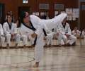 IMG_4537a