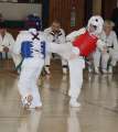 IMG_1183a