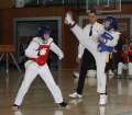 IMG_1222a