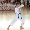 IMG_5041a