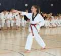 IMG_5202a
