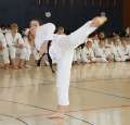 IMG_5250a