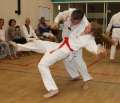 IMG_7999a
