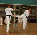 IMG_8064a