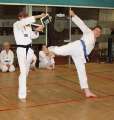 IMG_8070a