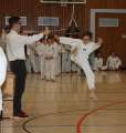IMG_8446a