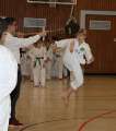 IMG_8447a