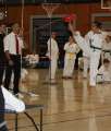IMG_8527a